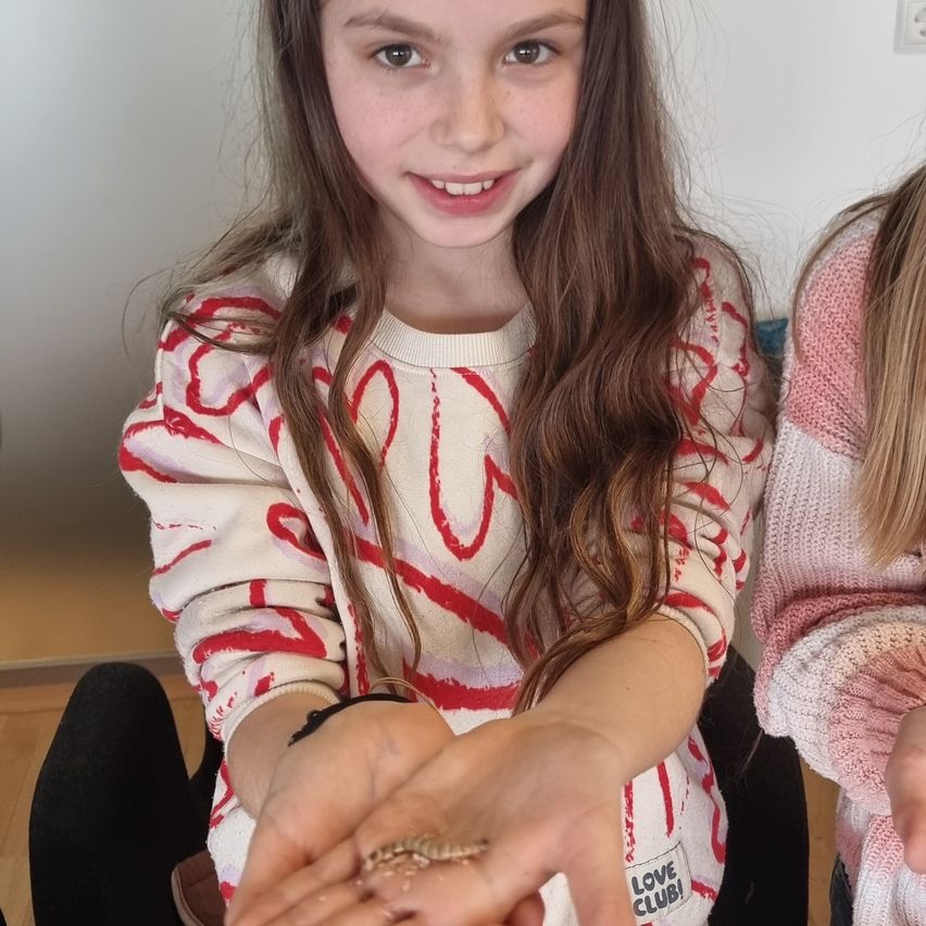 A young girl with brown hair holds a small, colorful bug in her hand. She is wearing a white and red sweatshirt with abstract designs. Another girl in a pink sweater is visible in the background.
