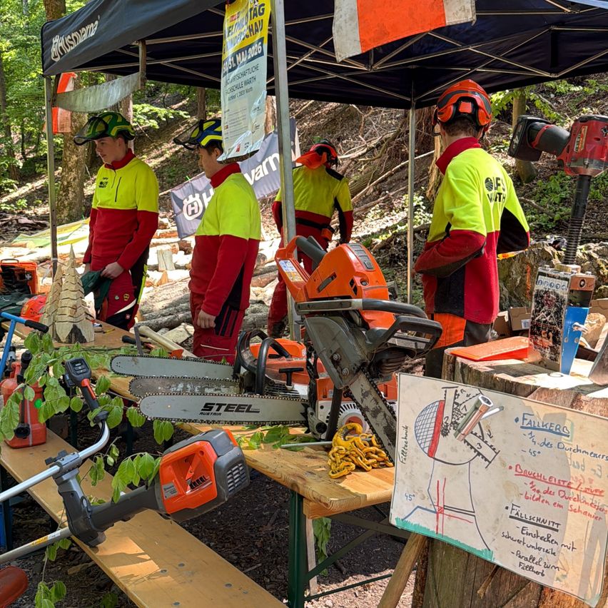 Several individuals in yellow and red work uniforms are under a tent with chainsaws and other tools on display. The ground is covered with soil and wood.