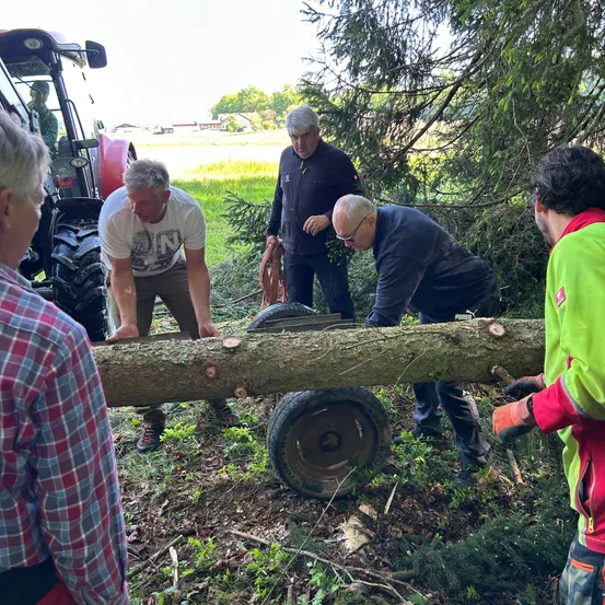 Fünf Männer arbeiten im Freien. Ein Mann hält einen Baumstamm, während ein anderer eine Kettensäge benutzt.
