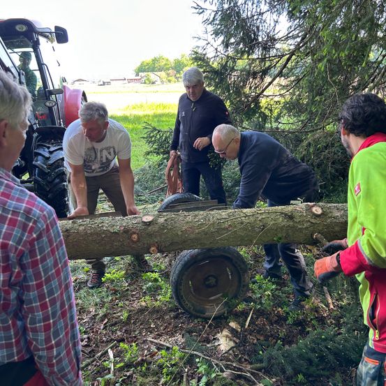 Fünf Männer arbeiten im Freien. Ein Mann hält einen Baumstamm, während ein anderer eine Kettensäge benutzt.