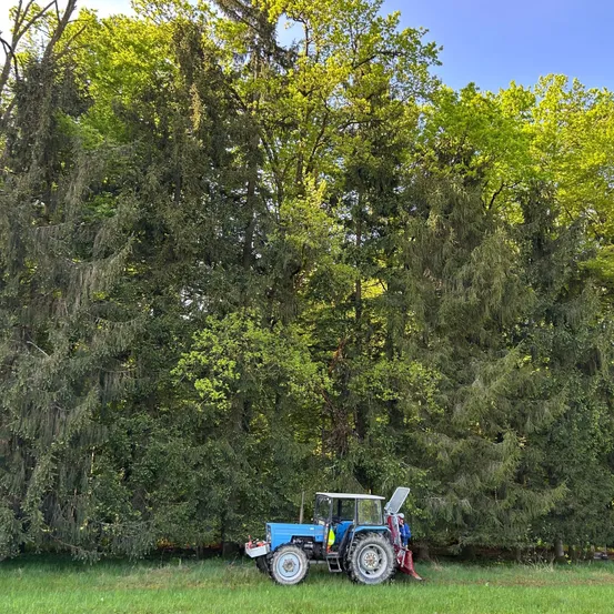 Ein blauer Traktor mit Anhänger steht auf einem Feld, mit einer dichten Baumreihe im Hintergrund.