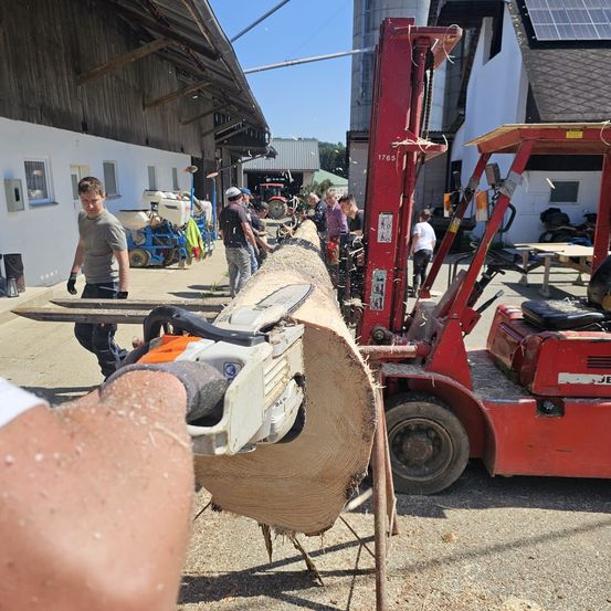 Ein Mann sägt einen Baumstamm mit einer Kettensäge an einem sonnigen Tag. Andere Leute stehen hinter ihm und beobachten. Ein roter Gabelstapler ist in der Nähe geparkt.