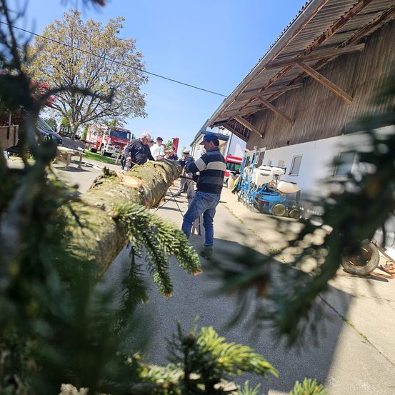 Eine Gruppe von Menschen sägt einen Baumstamm mit Kettensägen ab. Im Hintergrund ist ein Gebäude mit geparkten Feuerwehrfahrzeugen zu sehen.