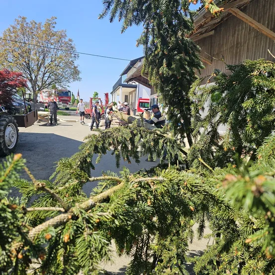 Feuerwehrleute stehen neben einem Baum, der vom Boden entfernt wird.