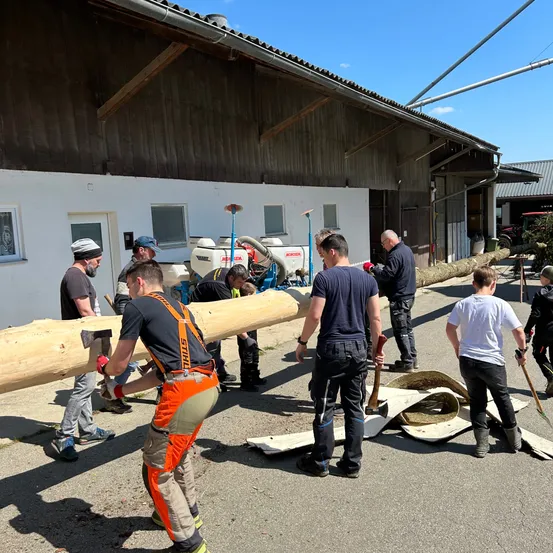 Eine Gruppe von Personen in Schutzkleidung arbeitet im Freien an einem großen Baumstamm. Einige halten Äxte und andere leiten den Stamm.