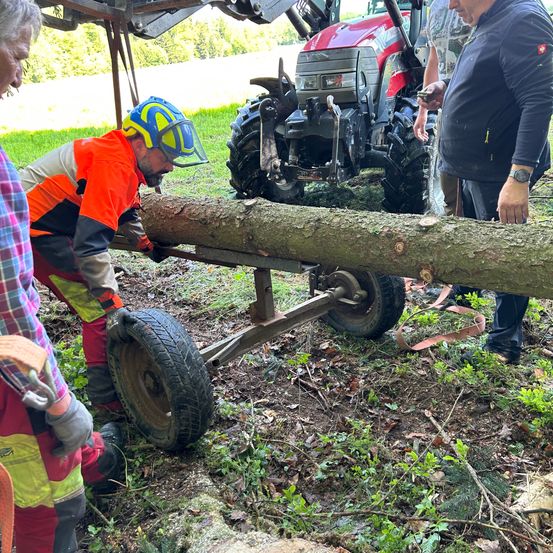 Ein Mann in einem orangefarbenen und grauen Uniform entfernt einen großen Baumstamm mit einem Anhänger mit Rädern. Er trägt einen blauen Helm und Handschuhe. Ein weiterer Mann beobachtet. Hinter ihnen ist ein roter Traktor teilweise sichtbar.