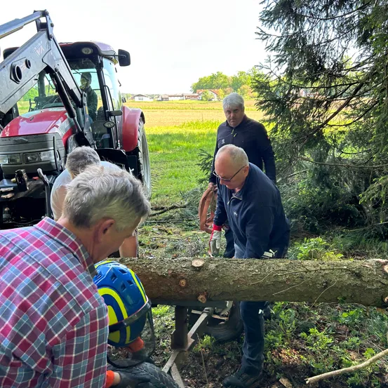 Mehrere Personen arbeiten an einem umgestürzten Baum, einer trägt einen Helm und Handschuhe. Eine weitere Person benutzt im Hintergrund einen Traktor.