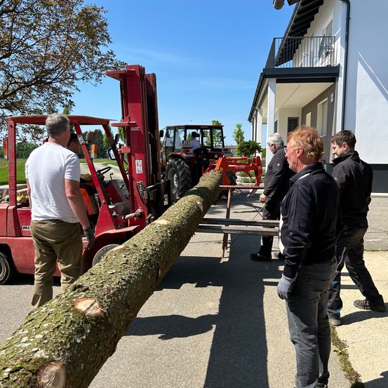 Vier Männer in Arbeitskleidung stehen vor einem Haus. Ein Mann bedient einen Gabelstapler, um einen langen Baumstamm zu heben.