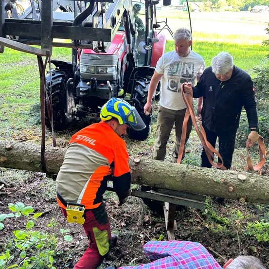 Drei Männer sägen einen Baum mit einer Kettensäge ab. Ein Traktor steht hinter ihnen. Ein Mann trägt einen Helm und Handschuhe, ein anderer trägt eine schwarze Jacke und Hose, und der dritte Mann trägt ein weißes T-Shirt.