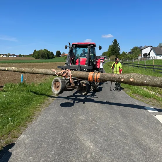 Ein Traktor zieht einen langen Baumstamm auf einer ländlichen Straße, ein Mann in einer reflektierenden Weste steht daneben.