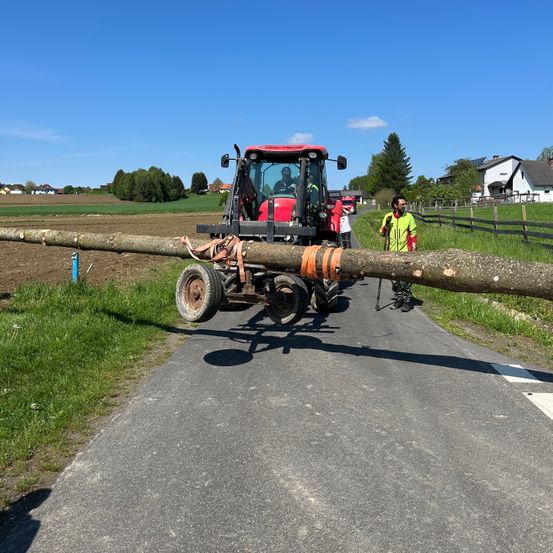 Ein Traktor zieht einen langen Baumstamm auf einer ländlichen Straße, ein Mann in einer reflektierenden Weste steht daneben.