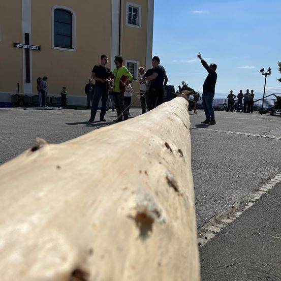 Eine Gruppe von Männern bereitet sich darauf vor, einen großen Baumstamm auf einer Straße zu bewegen. Ein Mann in der Mitte zeigt auf den Baumstamm. Im Hintergrund befindet sich ein Gebäude mit einem Kreuzschild.