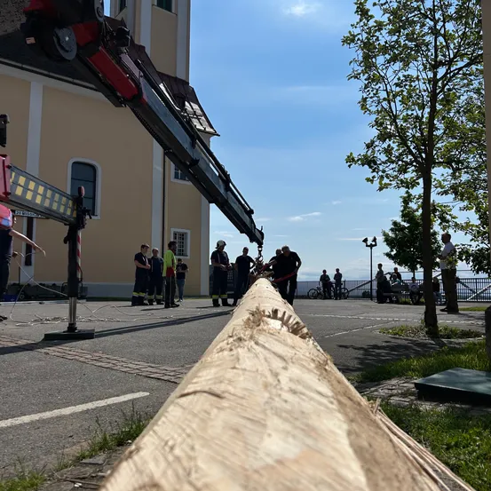 Ein langer Baumstamm wird in einem Stadtplatz von einem Kran gehoben, während Leute herumstehen und zusehen.