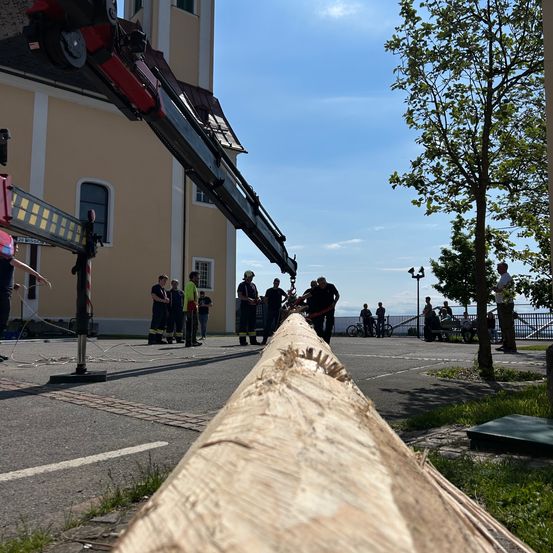 Ein langer Baumstamm wird in einem Stadtplatz von einem Kran gehoben, während Leute herumstehen und zusehen.
