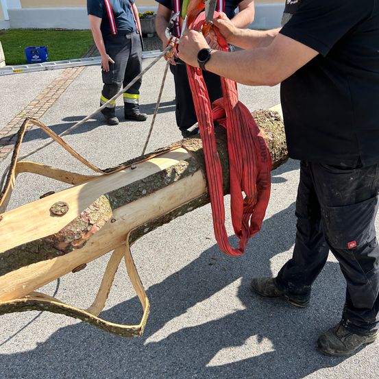 Ein Mann sägt mit einer Kettensäge einen Baumast ab, während ein anderer Mann das Seil festhält.