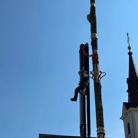 Ein Mann klettert an einem sonnigen Tag an einem hohen Baumstamm hoch, mit einem Kirchturm im Hintergrund.