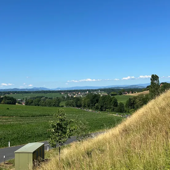 Eine malerische Aussicht auf ein grünes Feld mit einer Straße und einem Baum im Vordergrund. Der Himmel ist blau mit verstreuten Wolken. In der Ferne gibt es Berge und Häuser.