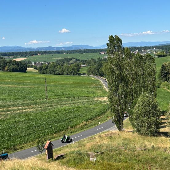 Luftaufnahme einer Straße mit Fahrzeugen, die durch eine üppige grüne Landschaft fahren. Die Straße wird von Bäumen und Feldern gesäumt, unter einem klaren blauen Himmel. Berge sind in der Ferne sichtbar.