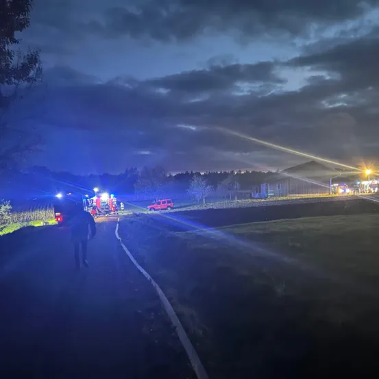 Eine nächtliche Szene mit geparkten Rettungsfahrzeugen am Straßenrand. Blaue Lichter erhellen den Bereich. Bäume und ein Haus sind im Hintergrund zu sehen.