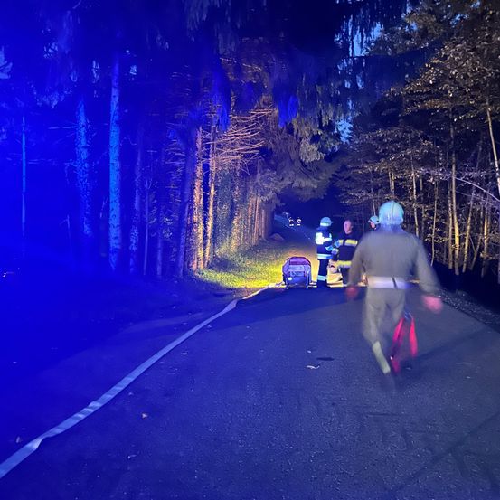 Rettungskräfte in Schutzkleidung gehen auf einer Straße mit blauen Lichtern. Bäume säumen beide Seiten der Straße, und ein Maschinenfahrzeug ist in der Nähe geparkt.