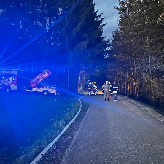 Feuerwehrleute kümmern sich auf einer Straße um einen Vorfall, der von blauen Lichtern beleuchtet wird. In der Nähe sind ein Feuerwehrwagen und ein Anhänger geparkt.