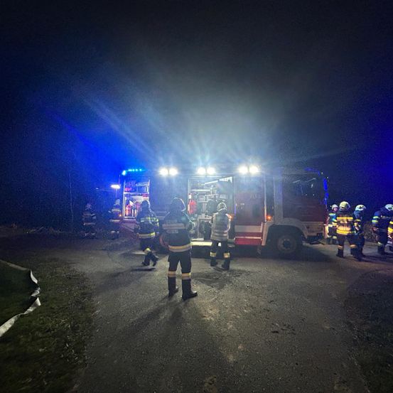 Eine Gruppe Feuerwehrleute in Uniform steht nachts vor einem Feuerwehrwagen mit eingeschalteten Lichtern.