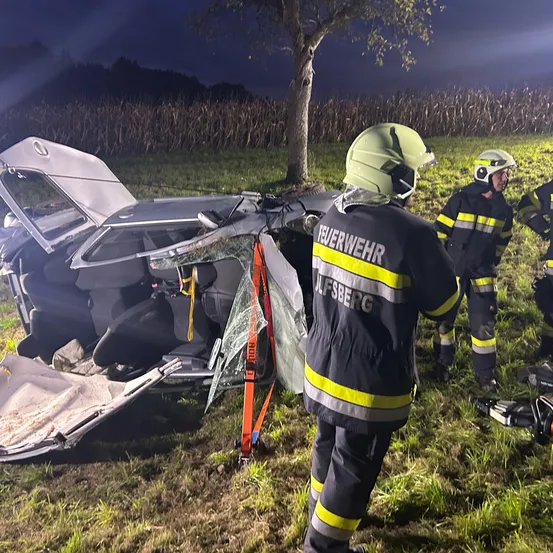 Feuerwehrleute sind am Unfallort. Einer steht neben einem umgekippten Auto, während ein anderer neben dem Fahrzeug steht. Das Auto steht auf einem Grasfeld, mit einem Baum dahinter.