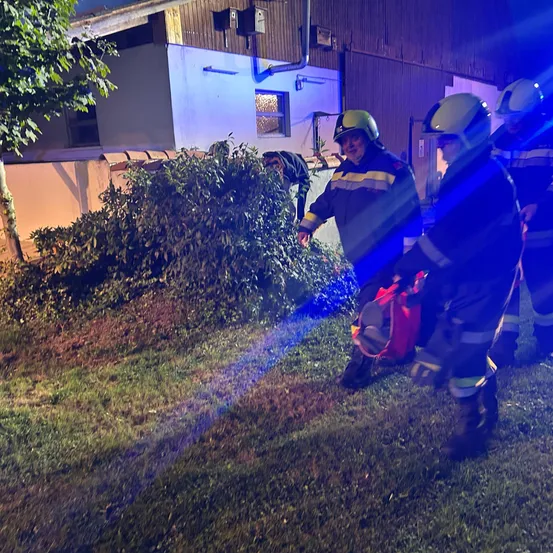Drei Feuerwehrleute in voller Montur stehen vor einem Gebäude mit blauer blinkender Lampe. Einer von ihnen hält eine rote Tasche.