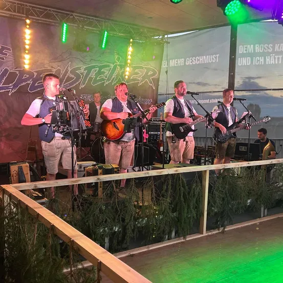Eine Band spielt auf der Bühne mit verschiedenen Instrumenten, darunter Gitarren und Akkordeon, unter grünen Bühnenlichtern.