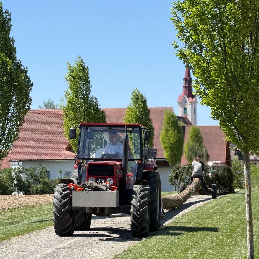 Ein Traktor fährt auf einer Auffahrt und zieht einen langen Baum hinter sich her. Ein Mann sitzt im Fahrersitz, während ein anderer Mann am Baum arbeitet. Im Hintergrund befindet sich ein Haus mit einem roten Dach.