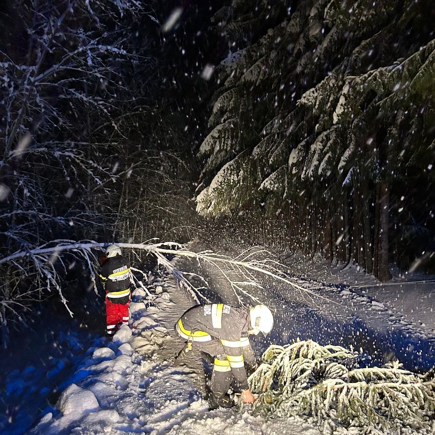 Zwei Feuerwehrleute in voller Ausrüstung räumen während eines Schneesturms bei Nacht einen umgestürzten Baum von einem verschneiten Pfad.
