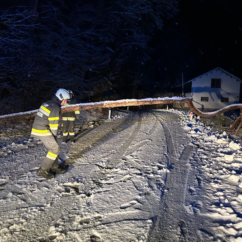 Zwei Feuerwehrleute sind auf einer verschneiten Straße, einer trägt einen Helm. Ein umgestürzter Baum blockiert den Weg, ein Haus ist im Hintergrund sichtbar.