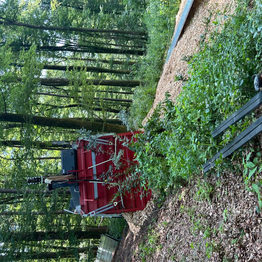 Ein roter Anhänger, der an einem Maschinenfahrzeug befestigt ist, wird verwendet, um Ablagerungen in einem dichten Wald zu sammeln.