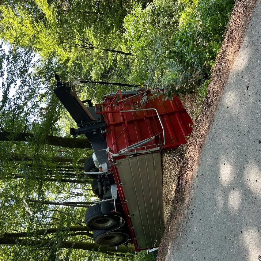 Ein roter Lastwagen mit Anhänger ist auf der Straßenseite umgekippt, umgeben von Bäumen. Der Lastwagen scheint an einem Hang zu stehen.