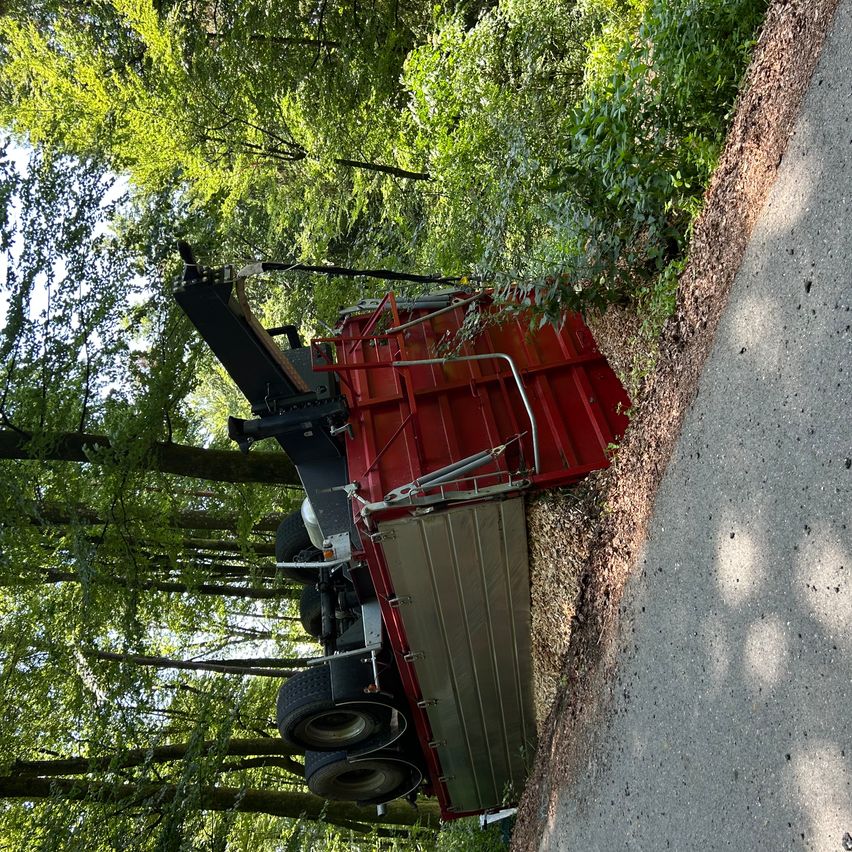 Ein roter Lastwagen mit Anhänger ist auf der Straßenseite umgekippt, umgeben von Bäumen. Der Lastwagen scheint an einem Hang zu stehen.