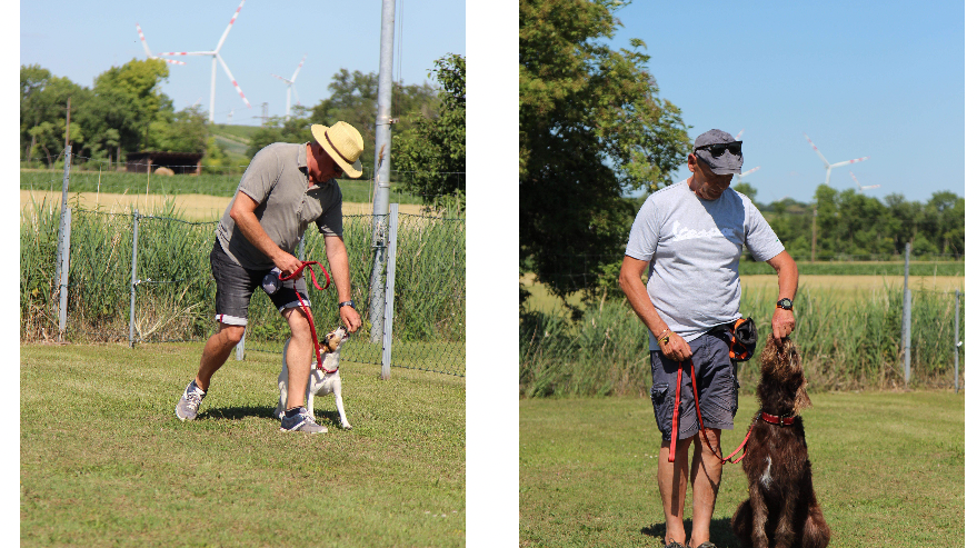 v1_migrated_image_46186699