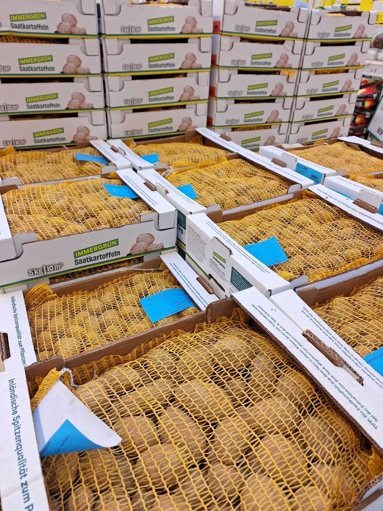 Bild enthält, Food, Fruit, Produce, Person, Indoors