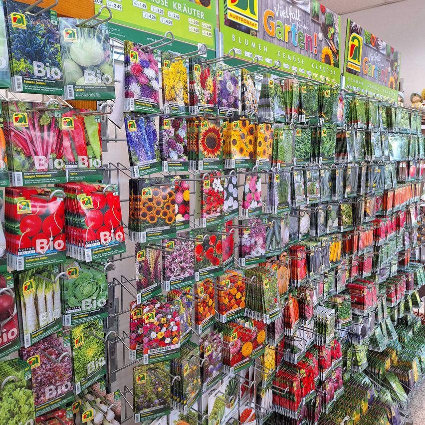 Bild enthält, Shop, Indoors, Food, Sweets, Person, Grocery Store, Market, Supermarket