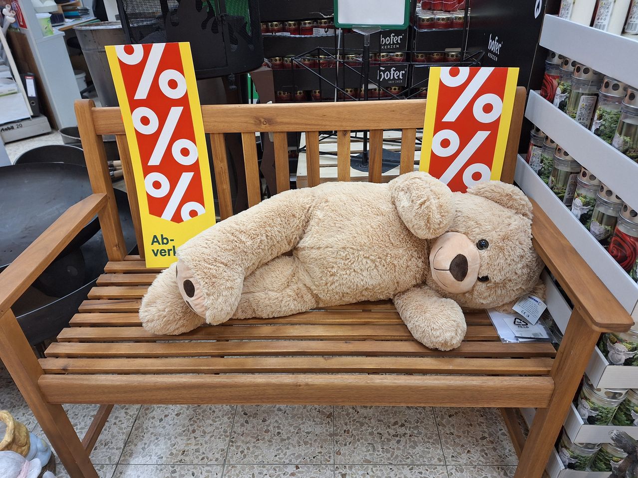 Bild enthält, Teddy Bear, Toy, Plush, Furniture, Bench