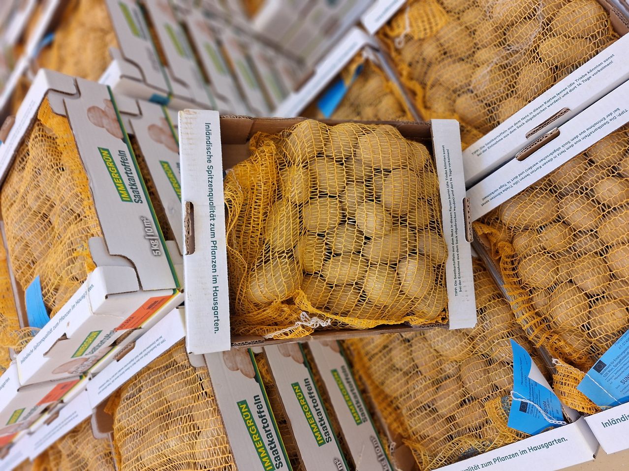 Bild enthält, Food, Produce, Fruit, Plant