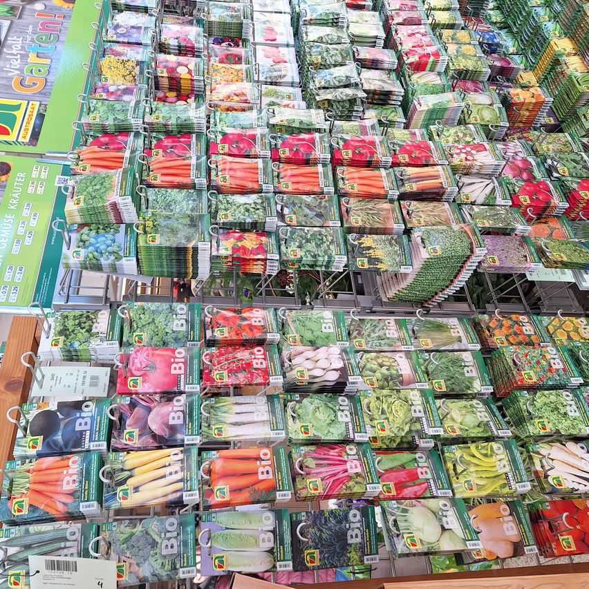 A store aisle displays a variety of vegetable seeds. The seeds are organized in small packets, each labeled with the type of vegetable. Various vegetables are shown on the packets, including carrots, peppers, and tomatoes.