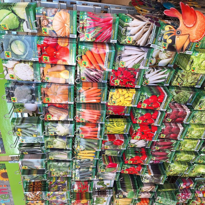 A colorful assortment of vegetable seed packets hanging on a store rack. Each packet displays a different vegetable and includes a description of the vegetable.