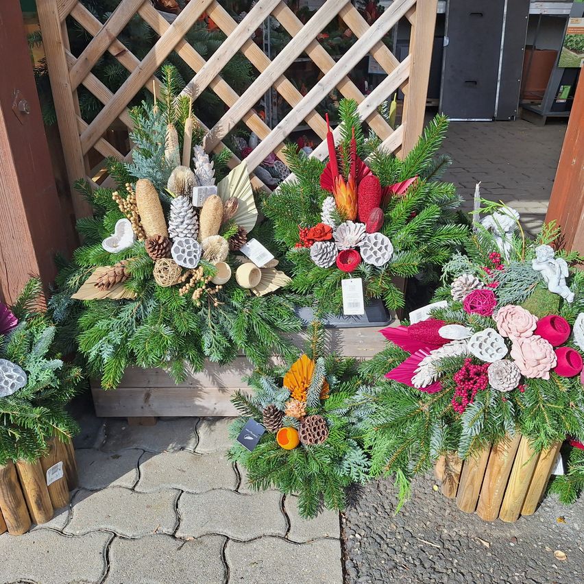Drei große Weihnachtskränze stehen auf einem Ziegelweg. Jeder Kranz befindet sich in einem hölzernen Pflanzgefäß und ist mit immergrünen Pflanzen, Tannenzapfen und bunten künstlichen Blumen gefüllt. Hinter den Kränzen steht ein hölzerne Rankgitter.