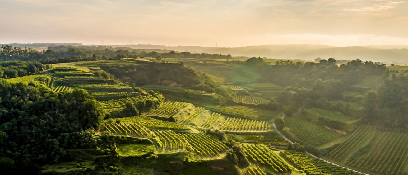 Bild enthält, Outdoors, Nature, Countryside, Rural, Farm, Aerial View