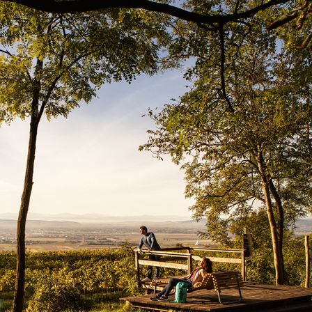 Bild enthält, Nature, Outdoors, Scenery, Bench, Tree, Grass, Person, Waterfront, Tree Trunk, Wood
