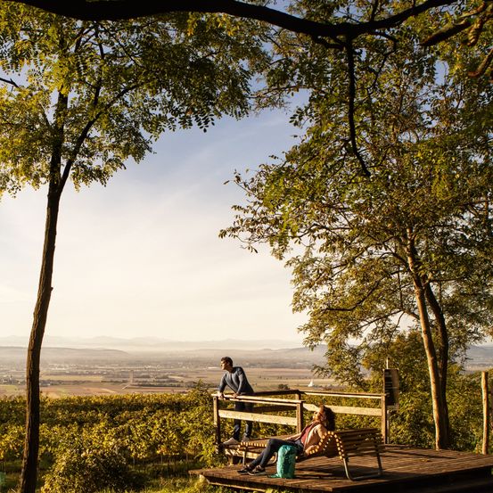 Bild enthält, Nature, Outdoors, Scenery, Bench, Tree, Grass, Person, Waterfront, Tree Trunk, Wood