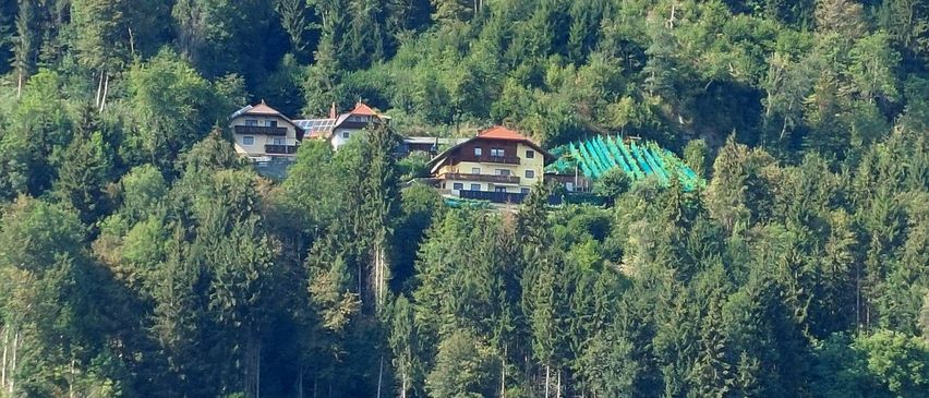 A hillside view of several houses nestled among lush green trees and plants, with a clear blue sky above.