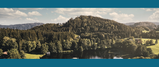 Ein ruhiger See mit dichten grünen Bäumen und einem kleinen weißen Haus auf einem Hügel unter einem bewölkten Himmel.