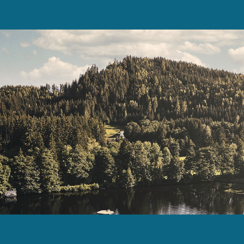 Ein ruhiger See mit dichten grünen Bäumen und einem kleinen weißen Haus auf einem Hügel unter einem bewölkten Himmel.