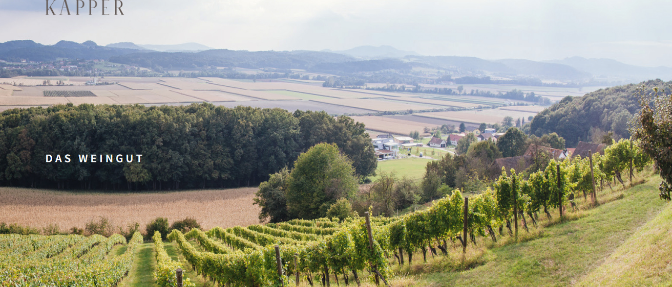 v1_migrated_image_6339055